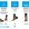 Condroprotector Regenerativo para Perros y Gatos Protector Dog Sport