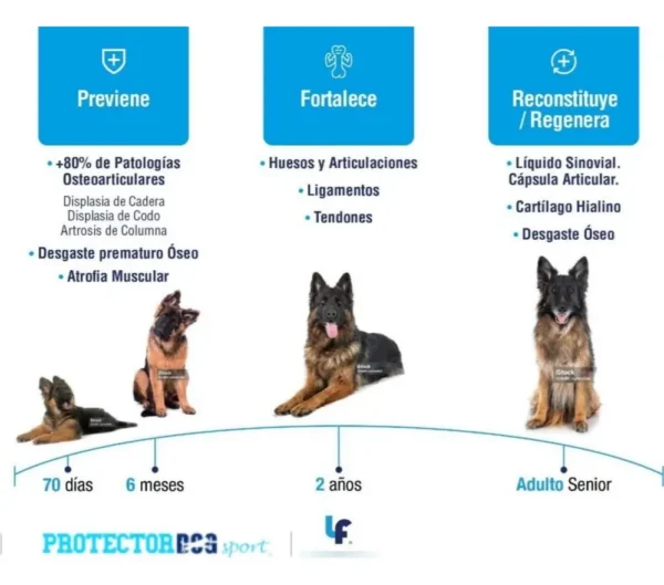 Condroprotector Regenerativo para Perros y Gatos Protector Dog Sport