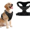 Arnés Pretal Reforzado para Perros Waggs Talle XL