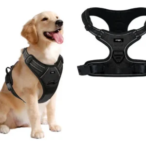 Arnés Pretal Reforzado para Perros Waggs Talle XL