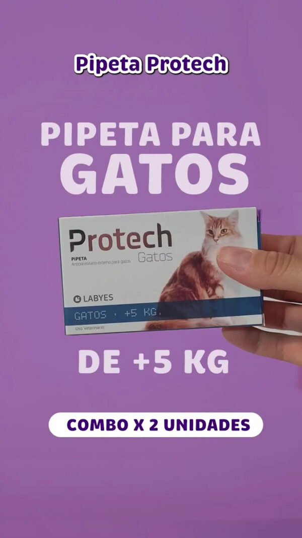 Pipeta Antipulgas para Gatos Protech Labyes +5 Kg Combo x2