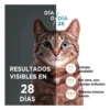 D_NQ_NP_769256-MLA114246195778_082026-F.webp Alimento para Gatitos Purina One x4Kg