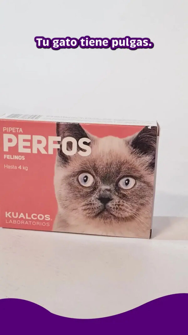 Pipeta Antipulgas para Gatos Perfos Kualcos Hasta 4 Kg Combo x5