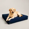 D_NQ_NP_773399-MLA111389315765_052026-F.webp Colchón Impermeable para Perros Lyon Pet 100x70cm Razas Grandes