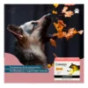 Condroprotector para Perros y Gatos Colotrin x30 Comprimidos
