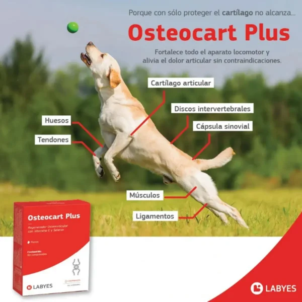 Condroprotector para Perros y Gatos Osteocart Plus x30 Comprimidos
