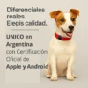 Collar GPS Rastreador para Perros y Gatos Compatible iOS y Android