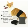 Pañal Reutilizable para Perros Lavable Pack x2