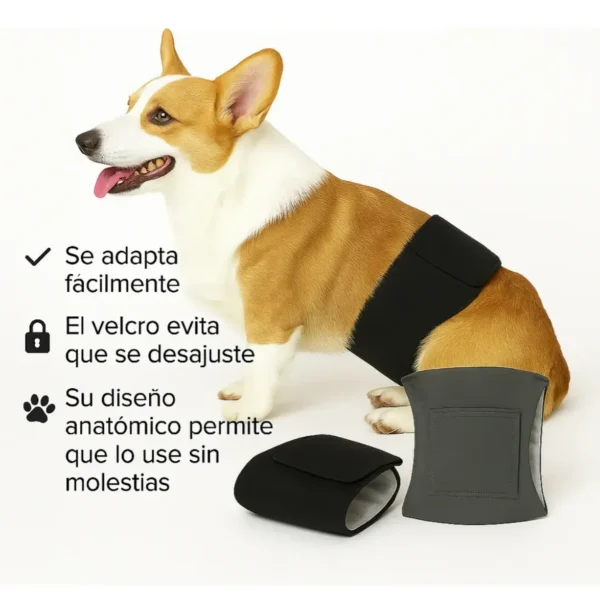 Pañal Reutilizable para Perros Lavable Pack x2
