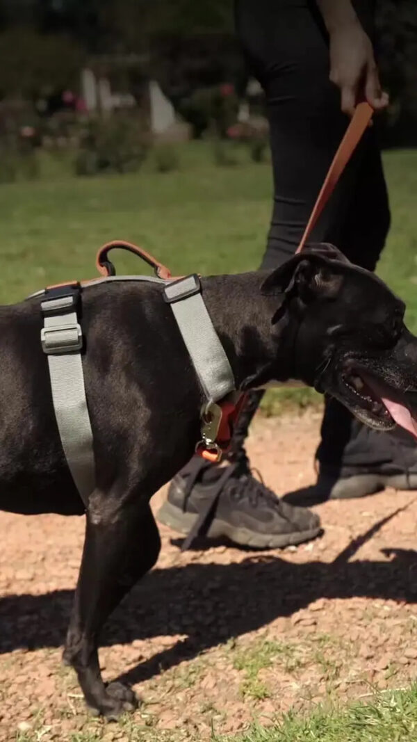 Arnés Pretal H Táctico para Perros Reforzado Anti Tirones K9