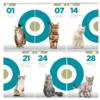 Alimento para Gatos Purina One Adulto Pollo y Salmón x500g