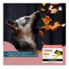 D_NQ_NP_815483-MLA113972011013_062026-F.webp Condroprotector para Perros y Gatos Colotrin Pack x4 (x30 Comprimidos c/u)