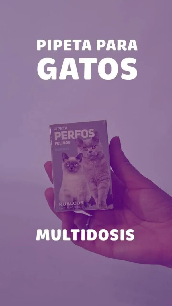 Pipeta Antipulguicida Multidosis para Gatos Perfos Kualcos 10 ml