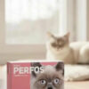 Pipeta Antipulgas para Gatos Perfos Kualcos Hasta 4 Kg Mosquitos