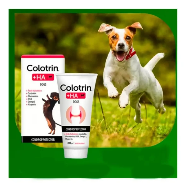 Condroprotector para Perros Colotrin HA Palatable Pasta x200g