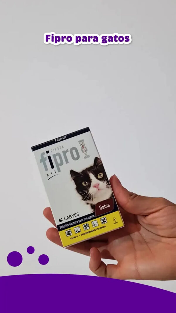 Pipeta Antipulgas para Gatos Fipro Labyes 1 a 8 Kg Combo x3