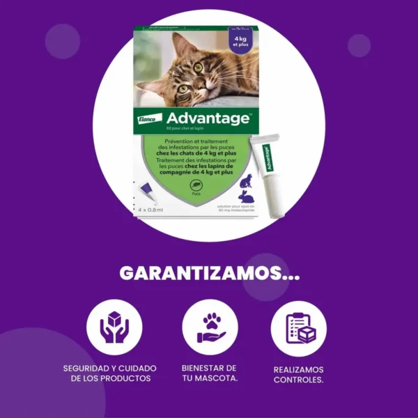 Pipeta Antipulgas para Gatos Advantage 4 a 8 Kg Combo x2