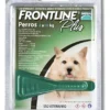 D_NQ_NP_836082-MLA92485608268_092025-F.webp Pipeta Antipulgas para Perros Frontline Plus hasta 10kg