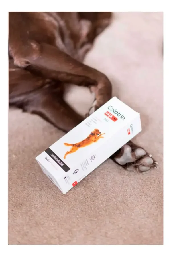 Condroprotector para Perros Colotrin HA Palatable Pasta x200g