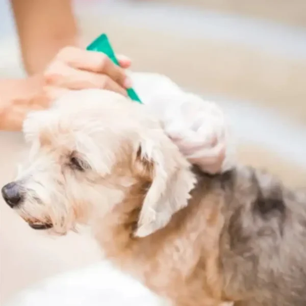 Pipeta Antipulgas para Perros Fipronil hasta 10kg contra Garrapatas y Mosquitos