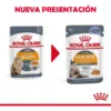 Alimento para Gatos Royal Canin Feline Hair & Skin 12 Sobres 85g