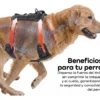 Arnés Pretal Reforzado para Perros Waggs Talle XL
