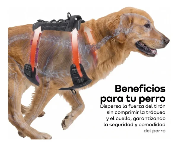 Arnés Pretal Reforzado para Perros Waggs Talle XL