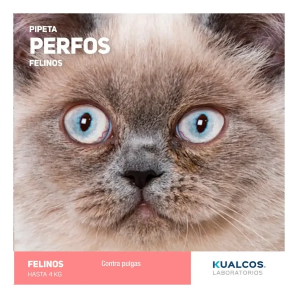Pipeta Antipulgas para Gatos Perfos Kualcos Hasta 4 Kg