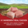Alimento para Perros Purina One Adulto Pollo y Arroz