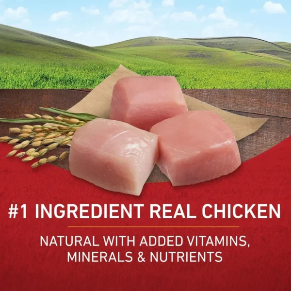 Alimento para Perros Purina One Adulto Pollo y Arroz