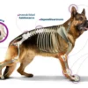 Condroprotector para Perros y Gatos Sosten CG Oral x80 Comprimidos