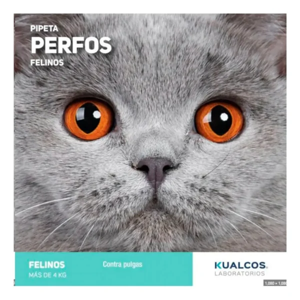 Pipeta Antipulgas para Gatos Perfos Kualcos +4 Kg Combo x5