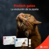 Pipeta Antipulgas para Gatos Protech Labyes 2,1 a 5 Kg