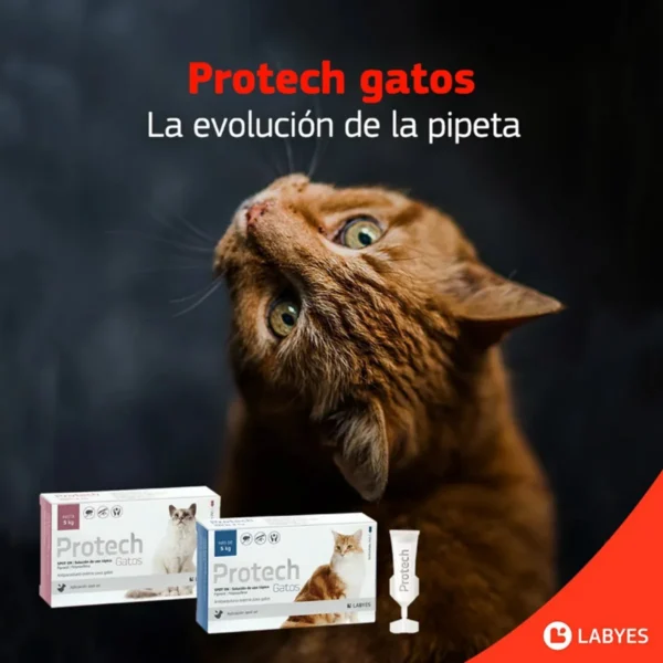 Pipeta Antipulgas para Gatos Protech Labyes 2,1 a 5 Kg