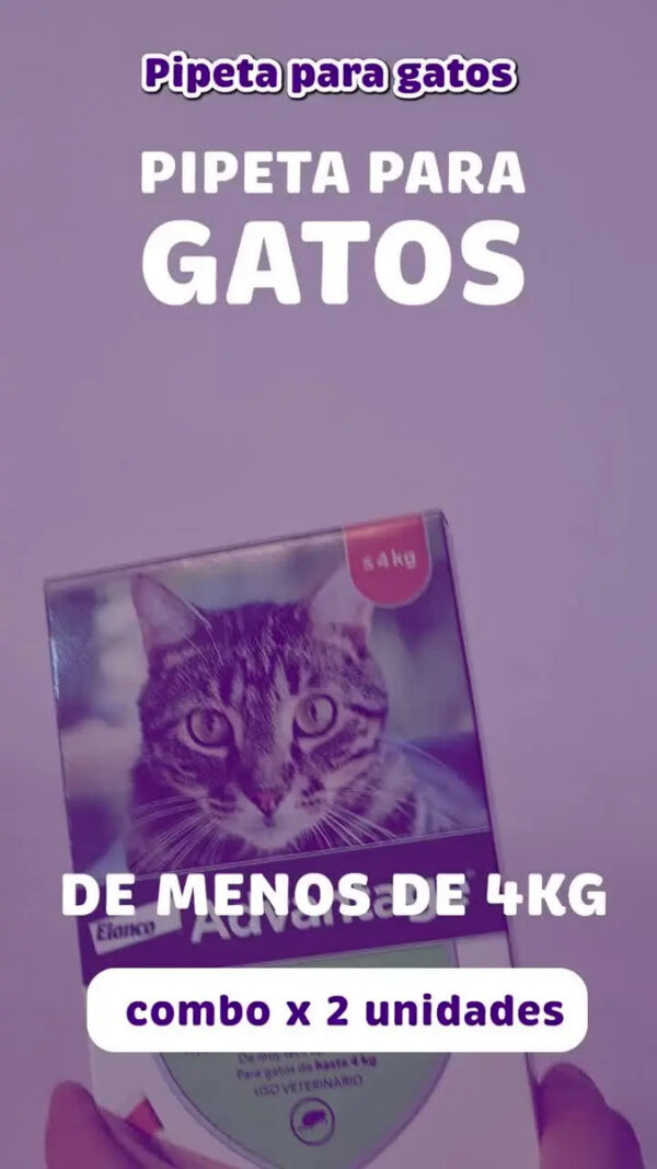 Pipeta Antipulgas para Gatos Advantage Hasta 4 Kg Combo x2