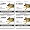 D_NQ_NP_900187-MLA113971542189_062026-F.webp Condroprotector para Perros y Gatos Colotrin Pack x4 (x30 Comprimidos c/u)