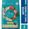 Alimento para Gatitos Purina One Todos los Tamaños x2Kg