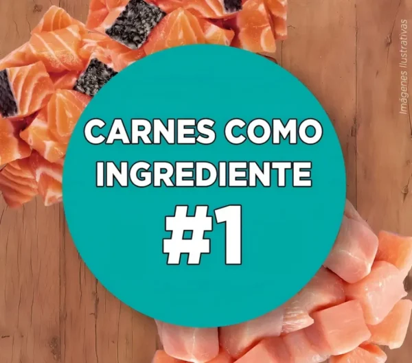 Alimento para Perros Purina One Premium Carne y Pollo x6Kg