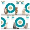 Alimento para Gatos Purina One Pollo y Salmón Adultos x2Kg