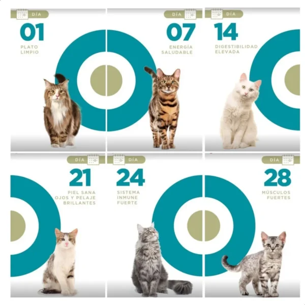Alimento para Gatos Purina One Pollo y Salmón Adultos x2Kg