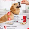 Condroprotector para Perros y Gatos Artrin Senior Brouwer