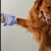 Condroprotector para Perros y Gatos Artrin Regenerador Articular x30 Comprimidos
