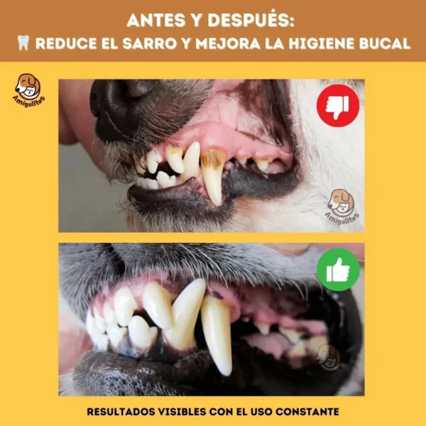 Pasta Dental para Perros y Gatos con Cepillo de Silicona y Estuche