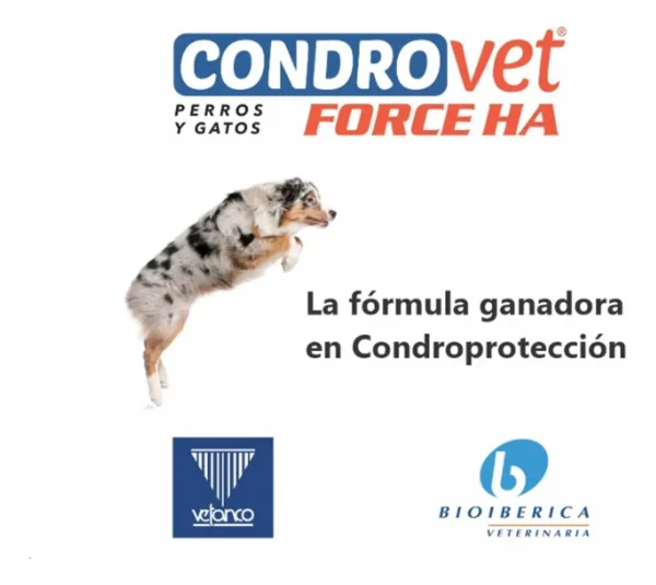 Condroprotector para Perros Condrovet Force HA x10 Comprimidos