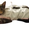 D_NQ_NP_937282-MLA92218106225_092025-F.webp Bata Post-Quirúrgica para Perros y Gatos Hembra