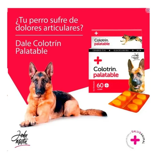 Condroprotector para Perros y Gatos Colotrin x30 Comprimidos
