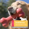 Juguete Rellenable Kong Goodie Bone para Perros Talla Small