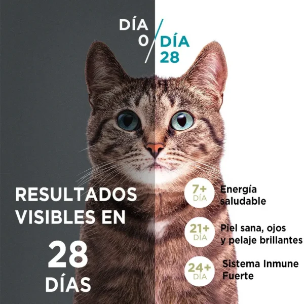 Alimento para Gatos Purina One Esterilizados Salmón x2Kg