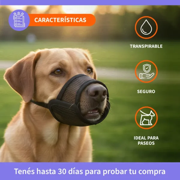 D_NQ_NP_968881-MLA102308811563_122025-F.webp Bozal de Tela para Perros Cómodo Resistente Varios Talles