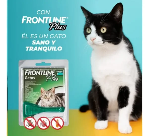 Pipeta Antipulgas y Garrapatas para Gatos Frontline Plus 2 a 8 Kg